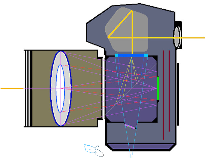 sensor APS-C